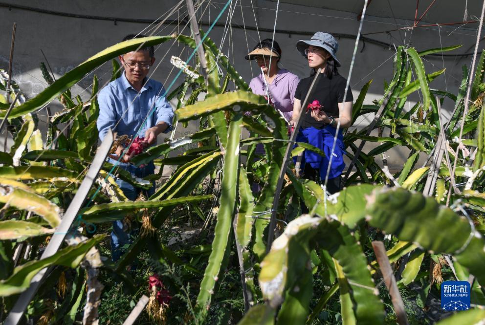 赢钱游戏可以发微信